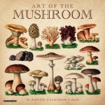 CAL 25 ART OF THE MUSHROOM 2025 WALL