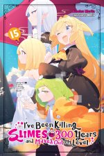 IVE BEEN KILLING SLIMES FOR 300 [LN} V15