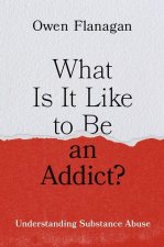 What Is It Like to Be an Addict? Understanding Substance Abuse (Hardback)