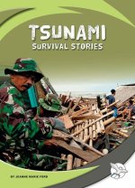 Tsunami Survival Stories
