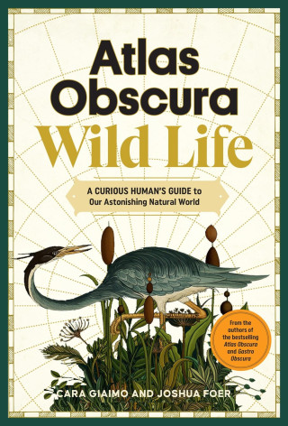 Atlas Obscura: Wild Life