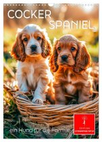 Cocker Spaniel - ein Hund für die Familie (Wandkalender 2025 DIN A3 hoch), CALVENDO Monatskalender