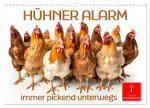 Hühner Alarm (Wandkalender 2025 DIN A3 quer), CALVENDO Monatskalender