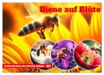 Biene auf Blüte - Faszinierende Details durch künstliche Intelligenz (Wandkalender 2025 DIN A2 quer), CALVENDO Monatskalender