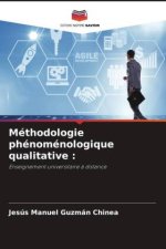 Méthodologie phénoménologique qualitative :