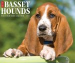 CAL 25 JUST BASSET HOUNDS 2025 BOX