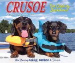 CAL 25 CRUSOE THE CELEBRITY DACHSHUND