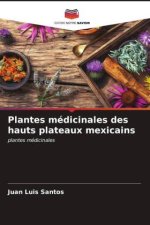 Plantes médicinales des hauts plateaux mexicains