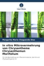 In vitro Mikrovermehrung von Chrysantheme Chrysanthemun Morifolium