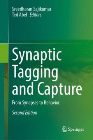Synaptic Tagging and Capture