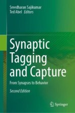 Synaptic Tagging and Capture
