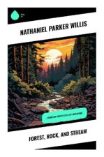 Forest, Rock, and Stream