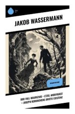 Der Fall Maurizius + Etzel Andergast + Joseph Kerkhovens dritte Existenz