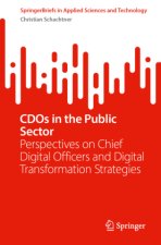 CDOs in the Public Sector