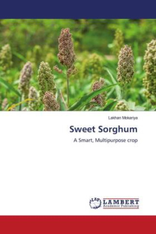 Sweet Sorghum (Lakhan Mokariya)()