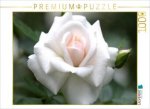 CALVENDO Puzzle Rose 'Gruß an Aachen' | 1000 Teile Lege-Größe 64x48cm Foto-Puzzle für glückliche Stunden