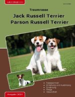Traumrasse Jack Russell Terrier