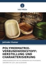 POLYMERMATRIX-VERBUNDWERKSTOFF: HERSTELLUNG UND CHARAKTERISIERUNG