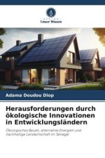 Herausforderungen durch ökologische Innovationen in Entwicklungsländern