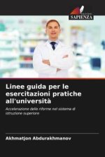 Linee guida per le esercitazioni pratiche all'università