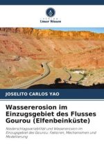 Wassererosion im Einzugsgebiet des Flusses Gourou (Elfenbeinküste)