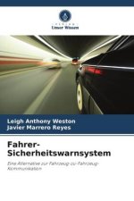 Fahrer-Sicherheitswarnsystem