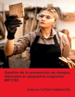 GESTION DE LA PREVENCION DE RIESGOS LABORALES EN PEQUEÑOS NE