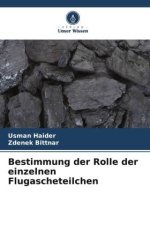 Bestimmung der Rolle der einzelnen Flugascheteilchen