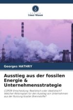 Ausstieg aus der fossilen Energie & Unternehmensstrategie