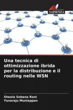 Una tecnica di ottimizzazione ibrida per la distribuzione e il routing nelle WSN