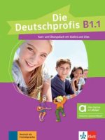 Die Deutschprofis B1.1 - Hybride Ausgabe allango, m. 1 Beilage