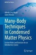 Many-Body Techniques in Condensed Matter Physics
