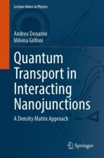 Quantum Transport in Interacting Nanojunctions