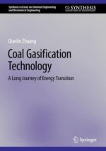Coal Gasification, Chemistry and Industrial Hydrogen