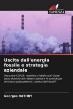 Uscita dall'energia fossile e strategia aziendale