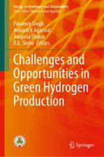 Challenges and Opportunities in Green Hydrogen Production