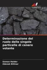 Determinazione del ruolo delle singole particelle di cenere volante