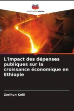 L'impact des dépenses publiques sur la croissance économique en Ethiopie
