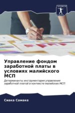 Uprawlenie fondom zarabotnoj platy w uslowiqh malijskogo MSP