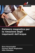 Polimero magnetico per la rimozione degli inquinanti dell'acqua