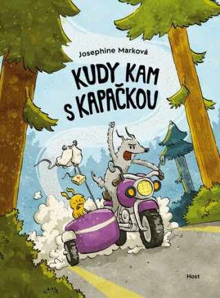Kudy kam s kapaďż˝kou