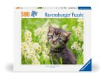 Ravensburger Puzzle 12000367 - Kätzchen in der Wiese - 500 Teile Puzzle für Erwachsene und Kinder ab 12 Jahren