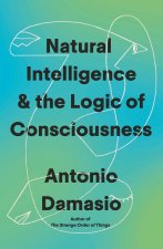 Human Consciousness