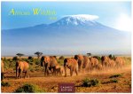 African Wildlife 2025 S 24x35 cm