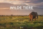 Wilde Tiere - weite Landschaft 2025