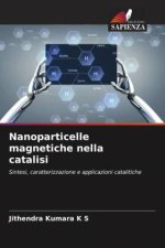 Nanoparticelle magnetiche nella catalisi