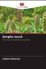 Sorgho sucré