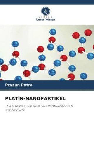 PLATIN-NANOPARTIKEL