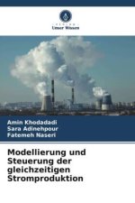 Modellierung und Steuerung der gleichzeitigen Stromproduktion