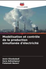Modélisation et contrôle de la production simultanée d'électricité